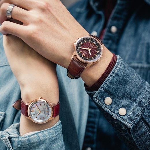 VIP-BX1009-10X 西铁城Citizen 西铁城光动能时尚潮流皮带防水情侣款（需单独购买） 男表单只【可能没电】 商品图4