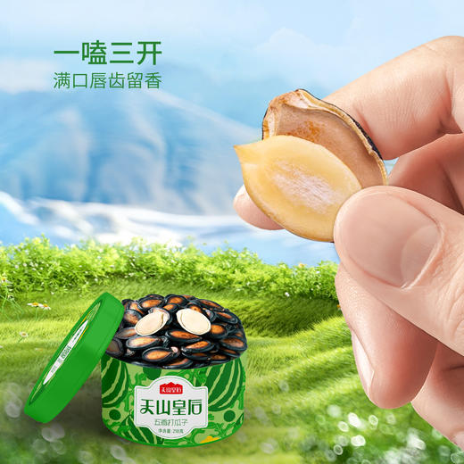 天山皇后瓜子礼盒装 1308g/盒 商品图3