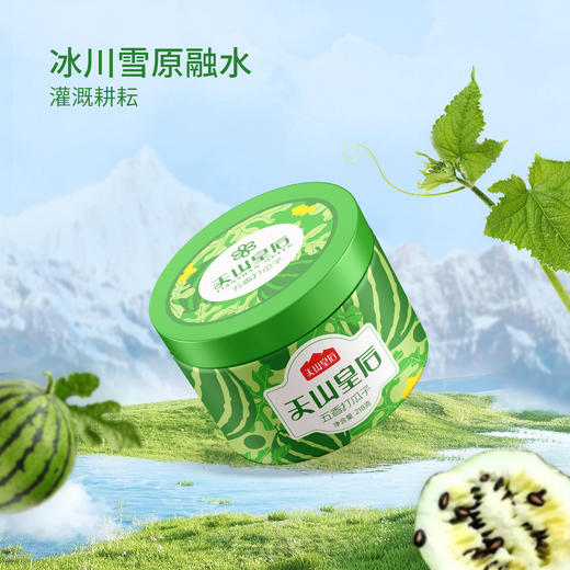 天山皇后瓜子礼盒装 1308g/盒 商品图4