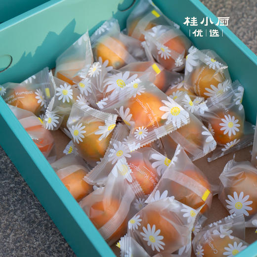 融安脆蜜金桔-多汁蜜甜比瓶盖大独立包装 商品图3