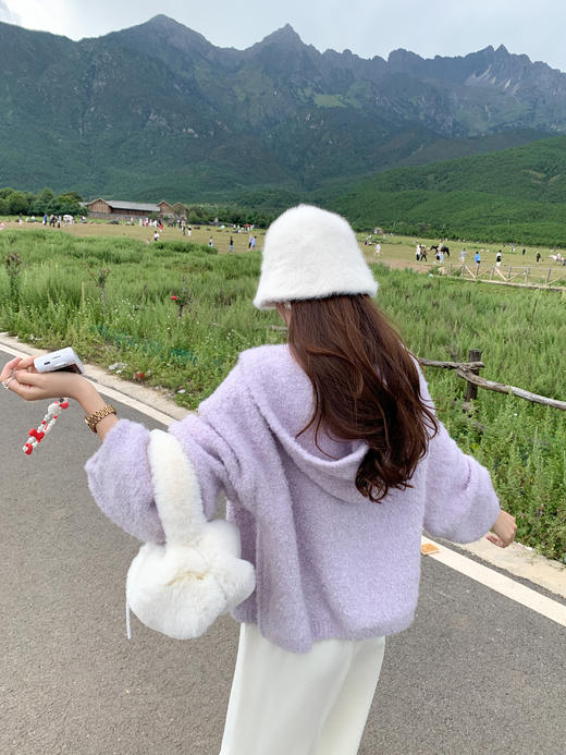 <曾小咸推荐>现货秒杀 ！微信超特价！2色连帽毛织外套 日常199.99 立减100 秒杀99.99！！ 商品图5