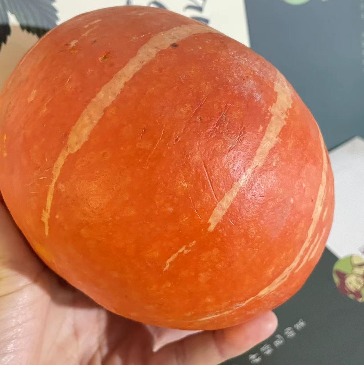 鸿翠园 有机金贝贝南瓜