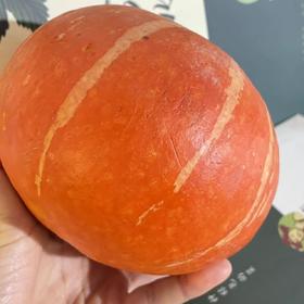 鸿翠园 有机金贝贝南瓜