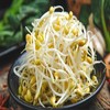 【ZCWJ】清水泡发黄豆芽 商品缩略图0