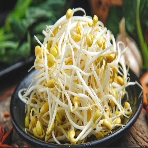 【ZCWJ】清水泡发黄豆芽 商品图0