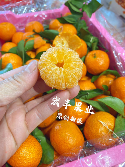 宏丰精选，超好吃的砂糖桔皮薄，纯甜无酸，活动价39.9元一件 商品图1