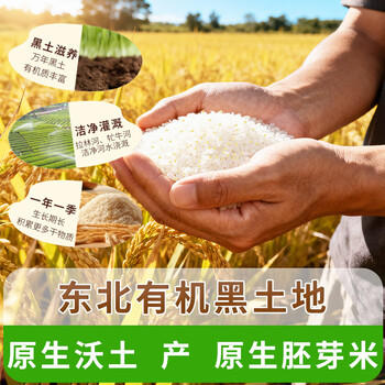 吾爱吾谷有机胚芽米2025当季新米留胚率≥90%东北粳米带胚芽大米留胚米5斤 /粮油调味 /米 /胚芽米 商品图5