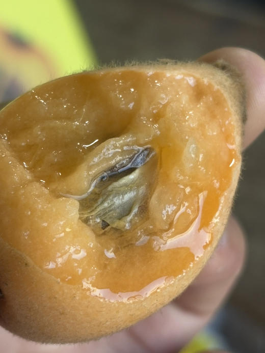 云南枇杷 到货啦！鲜爽浓郁 一口爆汁 鲜甜水润 滋阴润肺 超级好吃～ 商品图0