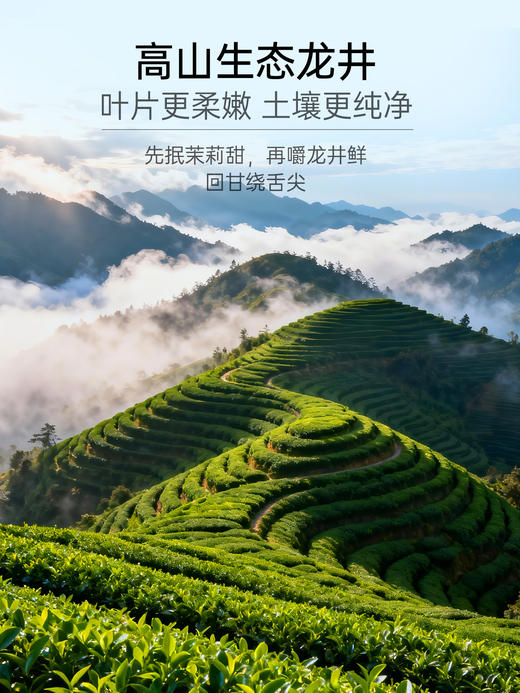 【茉莉龙井茶】通过窨制工艺，使茉莉花香与龙井茶香混合，做到不见茉莉花却含有茉莉花香 商品图1