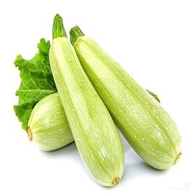 【ZCWJ】新鲜嫩西葫芦肉厚香甜嫩滑