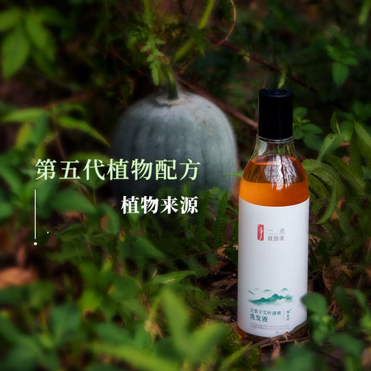 微益邦 无患子艾叶清爽洗发液 312g  植物+氨基酸 无香精洗头水 商品图0