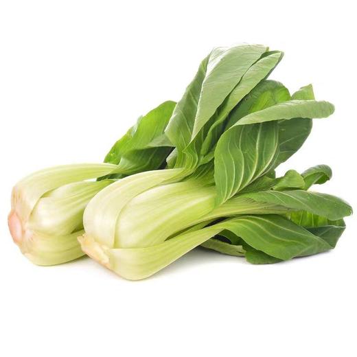 【ZCWJ】新鲜采摘小油菜鲜嫩清甜 商品图1