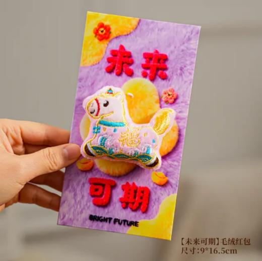 2026年新年毛绒立体红包 商品图4