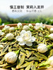 【茉莉龙井茶】通过窨制工艺，使茉莉花香与龙井茶香混合，做到不见茉莉花却含有茉莉花香 商品缩略图2
