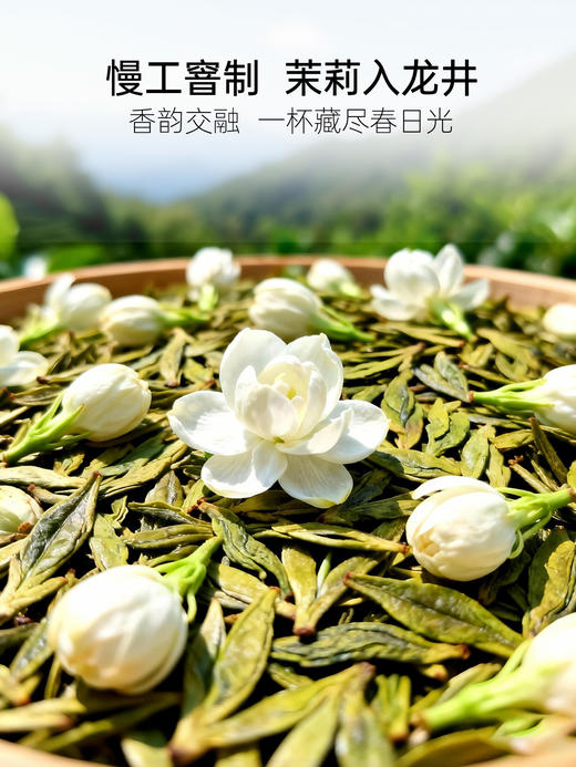 【茉莉龙井茶】通过窨制工艺，使茉莉花香与龙井茶香混合，做到不见茉莉花却含有茉莉花香 商品图2
