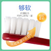 ito艾特柔超细宽头牙刷 浓密软毛 【一般贸易仓发货】 商品缩略图5