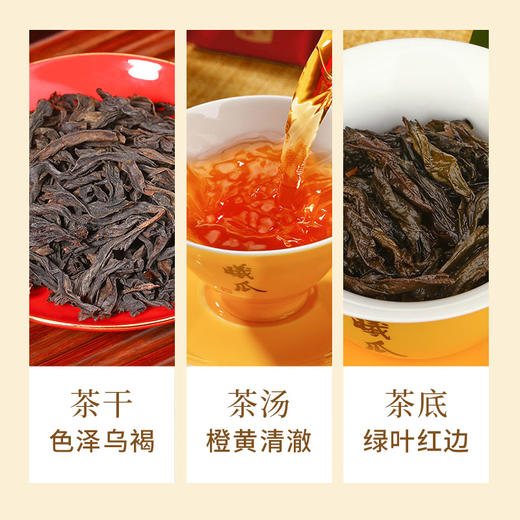 曦瓜 肉桂 武夷岩茶 花果香 品鉴装 8g*4泡 商品图1