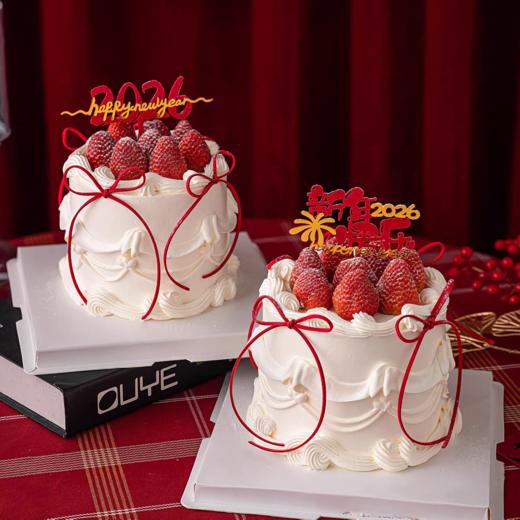 6-8寸2026年 新年款1 商品图0