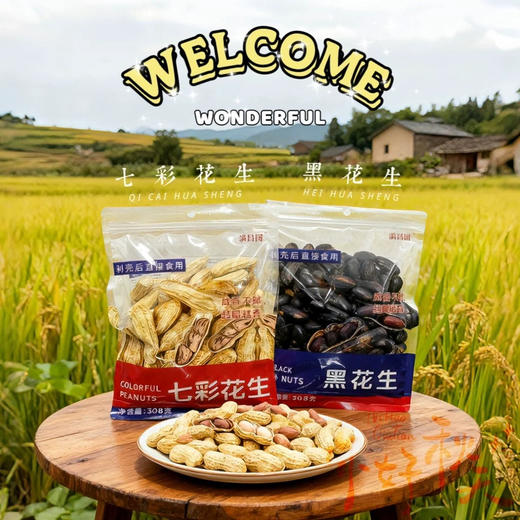满昌园七彩花生308g 商品图2