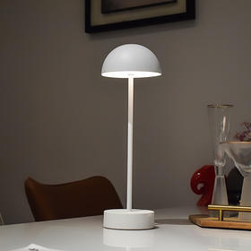 意大利HORECATECH 轻奢复古无线LED细长台灯套装 配超薄充电底座