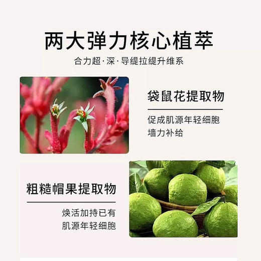 法国 Clarins娇韵诗 焕颜弹簧3件套 套装（弹簧水200ml+弹簧日霜50ml+弹簧晚霜50ml） 商品图4