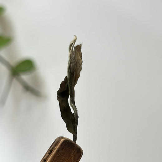 2026年货节 ｜【駸駸日上】马年生肖纪念白茶收藏版，2019年荒野花香白牡丹竹编日晒原料，净含量300g*1饼（5饼*提/1500g） 商品图2