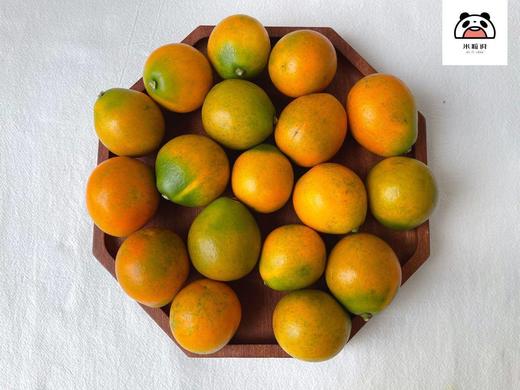 （2200积分+55.9元兑换）【脆蜜金柑金桔1.5斤大果】 周六（12.27）中午12点开始  金橘 不使用任何甜蜜素，不抛光，不打蜡，很原生态的环境 商品图1