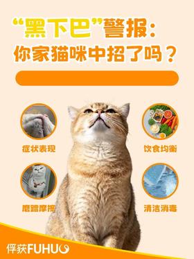 黑下巴警告⚠️ 