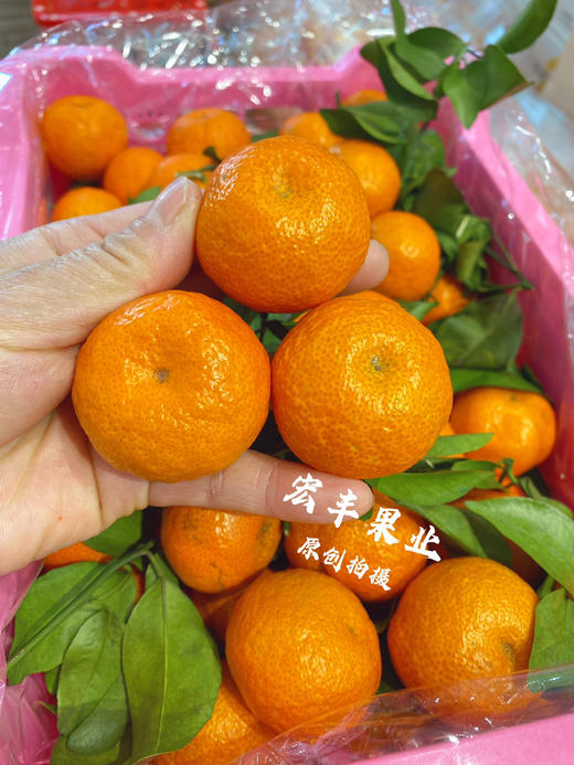 宏丰精选，超好吃的砂糖桔皮薄，纯甜无酸，活动价39.9元一件 商品图0