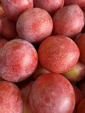 樱桃李来咯！鲜甜可口 回味悠长