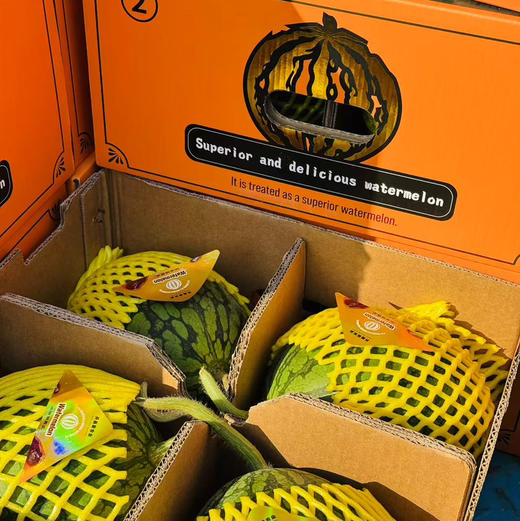 【限量爆款牛奶·黄金冰淇淋小西瓜】～（黄心麒麟瓜限量版）几乎无籽，拥抱口感无限可能正宗东台货，王者口感，打破认知禁锢。停不下来的小西瓜 商品图6