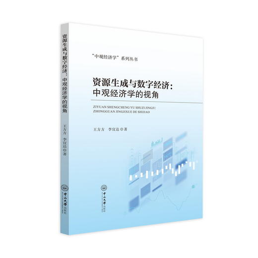资源生成与数字经济中观经济学的视角 商品图0