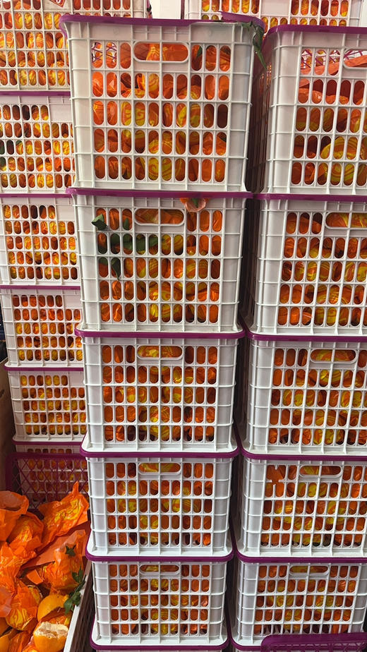 春见耙耙柑11.8元/袋约2.9～3.1斤，明天到 商品图2