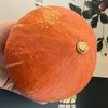 鸿翠园 有机金贝贝南瓜 商品缩略图2