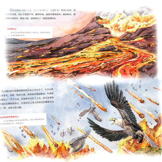 讲给孩子的自然灾害科普绘本（8册） 商品图4