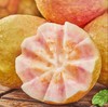 胭脂红芭乐 商品缩略图4