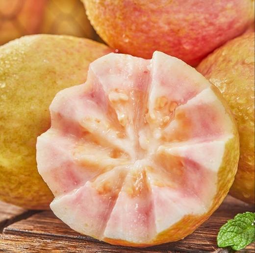 胭脂红芭乐 商品图4