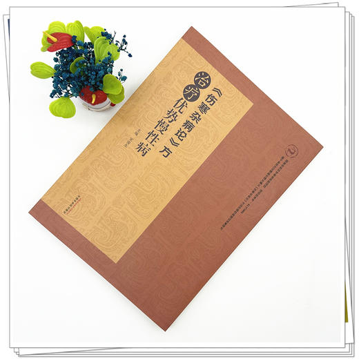 《伤寒杂病论》方治疗优势慢性病 宋俊生 主编 伤寒杂病论经方治疗消化皮肤泌尿生殖精神系统 9787513287357中国中医药出版社 商品图2