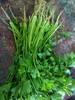 香芹菜（1斤/份） 商品缩略图0