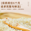 吾爱吾谷有机胚芽米2025当季新米留胚率≥90%东北粳米带胚芽大米留胚米5斤 /粮油调味 /米 /胚芽米 商品缩略图4