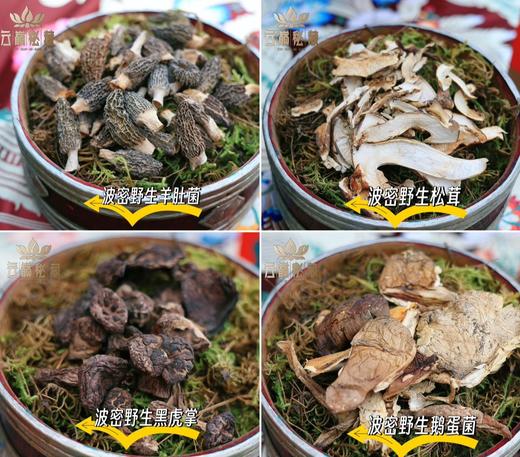 西藏礼物.藏秘菌礼【波密野生菌礼盒】米其林三星级 世界野生名菌 精通每一味高好汤 深藏风味 吐纳原始森林灵气 颐养身心 商品图2
