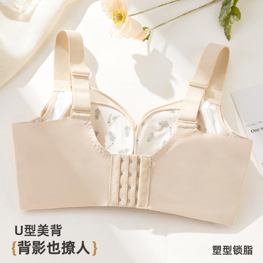 雅黛俪女士文胸小胸聚拢显大提拉有型性感蕾丝网纱透气舒适内衣胸罩 商品图9