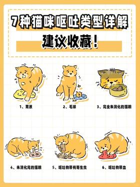 7种猫咪呕吐类型详解