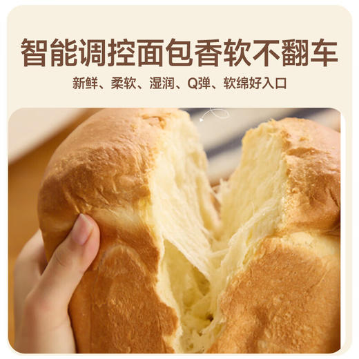西罗卡面包机全自动烤面包机一体家用多功能揉面机和面发面机吐司机发酵烘焙小型智能早餐机 方小白SB-1D2514 商品图6