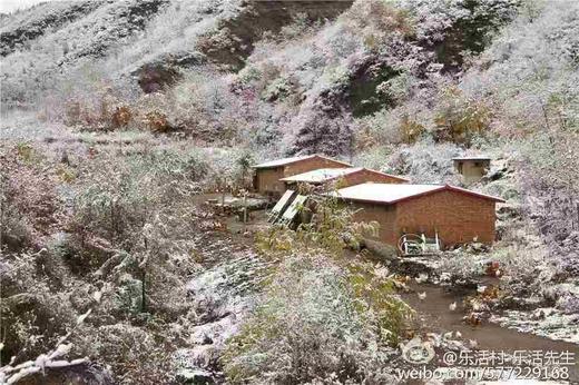 初产鸡蛋(12枚/斤）～净田社山林自由放养 商品图6