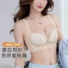 雅黛俪女士文胸小胸聚拢显大提拉有型性感蕾丝网纱透气舒适内衣胸罩 商品缩略图0
