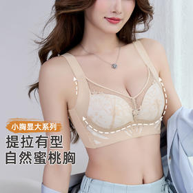 雅黛俪女士文胸小胸聚拢显大提拉有型性感蕾丝网纱透气舒适内衣胸罩