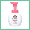 LION狮王 趣净植物洁净泡沫消毒洗手液抗菌杀菌  果味香型 250ml【一般贸易仓发货】 商品缩略图0