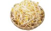 【ZCWJ】清水泡发黄豆芽 商品缩略图1