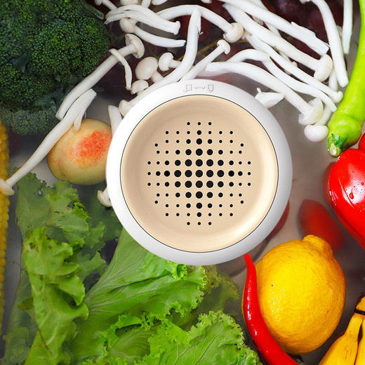 澳柯玛果蔬净化机ABX-03A 商品图2